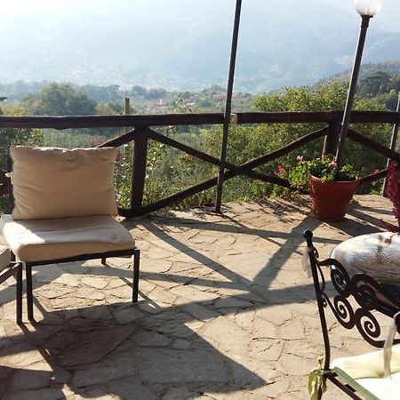 Locanda Verde Vaiano (Tuscany) Exterior photo